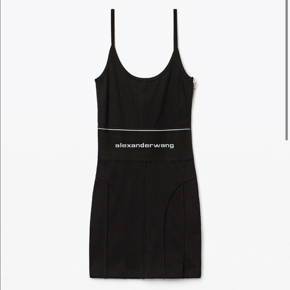 Never worn Alexander Wang mini dress!! Tags still attatched